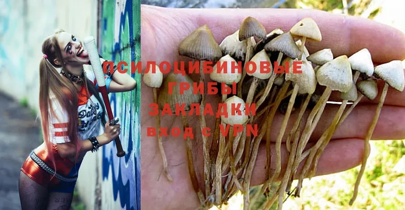 Галлюциногенные грибы Magic Shrooms  Фролово 